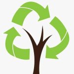 23316650_1512790852141703_3431945975822758734_n