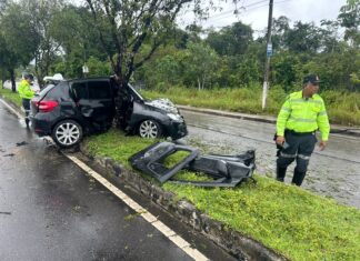Diego de Souza da Gama 36, Karine Aguiar Pantoja, 21 ficaram feridos neste domingo (21), após colidirem com uma árvore na Avenida do Futuro, no bairro Tarumã, zona oeste de Manaus. Uma das vítimas ficou presa às ferragens do veículo.