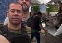 Vídeo: Delegado-geral Bruno Fraga comanda operação para capturar criminoso que metralhou viatura da PC